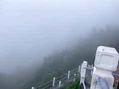-石老人观光园