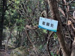 -马峦山郊野公园