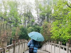 -重庆彩云湖湿地公园