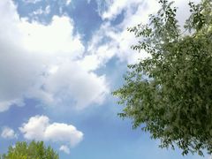-辽宁大学(崇山校区)
