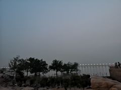 -宝安西湾红树林湿地公园