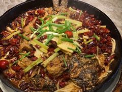 -老板恋上鱼(恒隆广场店)