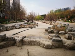 -大望京公园