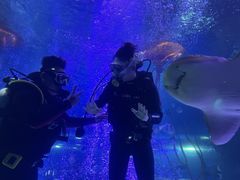 -沈阳海洋探索中心