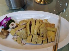 -品泉餐厅·大盆鱼·走地鸡