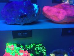 -湖南省地质博物馆