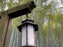 -天目湖涵田度假村