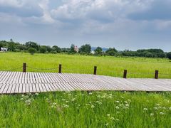 -塞罕坝国家级自然保护区