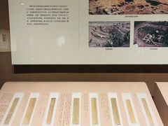 -长沙简牍博物馆
