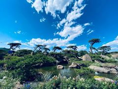 -罗红摄影艺术馆