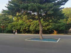 -北陵公园