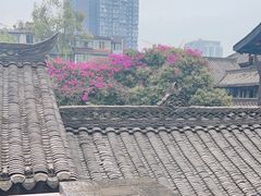 -星巴克臻选(成都宽窄巷子店)