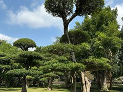 -南宁南湖公园
