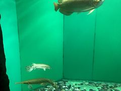 -青岛海底世界-水族馆