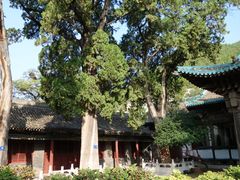 -窦大夫祠