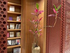 -二酉书店TOYOU BOOKS