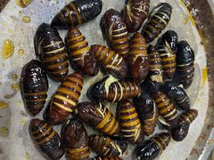 -牛牛牛酸菜煎肉店(望云寺路店)