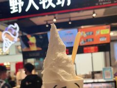 -野人先生现做冰淇淋(西安赛格店)