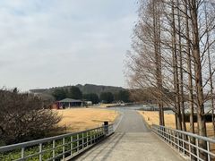 -上海月湖雕塑公园