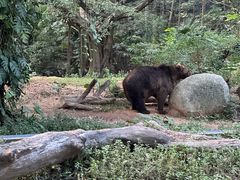 -广州长隆野生动物世界