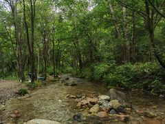 -玉渡山自然风景区