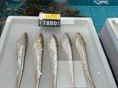 -莆鑫海鲜城(浏河店)