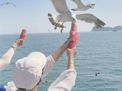 -海驴岛(荣成市)