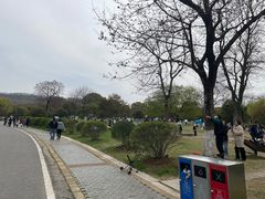 -南京市江宁方山