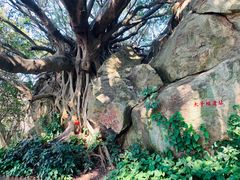 -宋井风景区