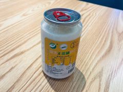 -德禄酸奶(莫家街店)