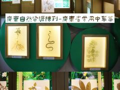 -广东省博物馆