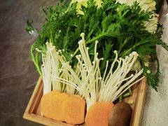 -蝎王府羊蝎子(北大地店)