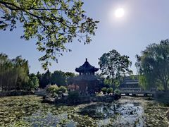 -莲池书院博物馆