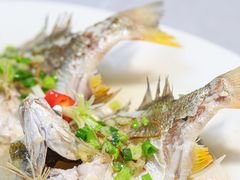 -有腥气私房菜·寻味顺德