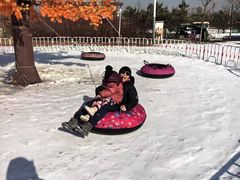 -绿野森林乐园冰雪季