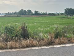 -鄱阳湖国家湿地公园