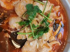 -嘟嘟红唇老坛酸菜鱼(九洲店)