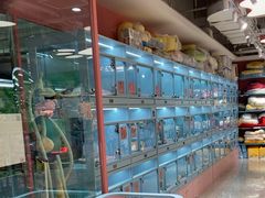 -FAELING PETS美天灵宠物(合生汇店)