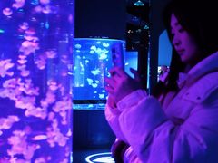 -重庆欢乐海底世界