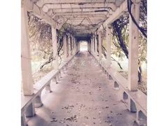 -宿迁学院