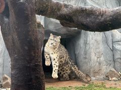 -青藏高原野生动物园