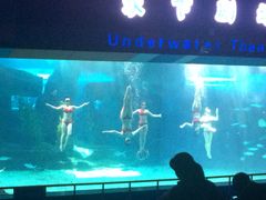 -泉城欧乐堡海洋极地世界