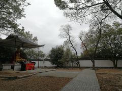 -上海佘山国家森林公园天马山园