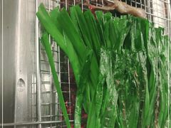 -老吕涮羊肉•东北原味烧烤•大油边•烤鱼(五角场店)