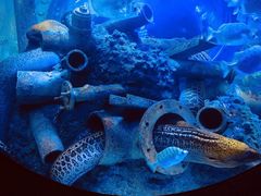 -成都浩海立方海洋公园