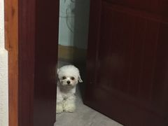 -伽利略剧本探案馆(国贸店)