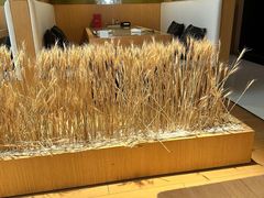 -西村日本料理(香格里拉饭店)