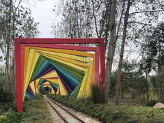 -合肥滨湖国家森林公园