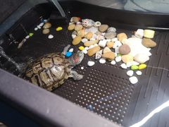 -零几体验diy皮具工作室(振业城店)