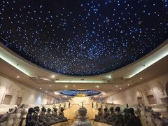 -乐山乌木文化博览苑